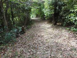 令和6年5月24日の通路整備作業の写真16