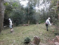 令和6年10月18日の通路整備作業の写真4