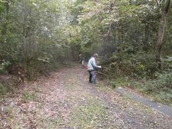 令和6年10月18日の通路整備作業の写真5