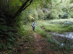 令和6年10月18日の通路整備作業の写真6