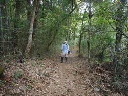 令和6年10月18日の通路整備作業の写真7