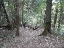 令和6年10月18日の通路整備作業の写真9