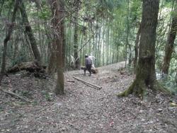 令和6年10月18日の通路整備作業の写真10