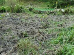 令和6年10月18日の通路整備作業の写真13