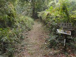 令和6年10月18日の通路整備作業の写真14