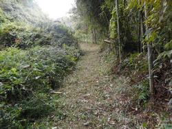 令和6年10月18日の通路整備作業の写真15