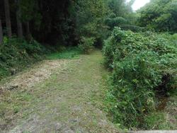 令和6年10月18日の通路整備作業の写真16