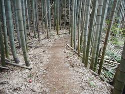 令和6年10月18日の通路整備作業の写真18