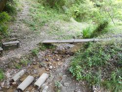 令和7年5月23日の通路整備作業の写真1