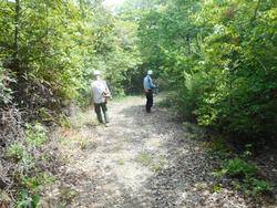 令和7年5月23日の通路整備作業の写真4