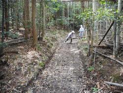 令和7年5月23日の通路整備作業の写真5