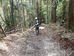 令和7年5月23日の通路整備作業の写真6