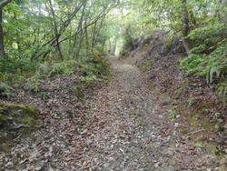 令和7年5月23日の通路整備作業の写真9