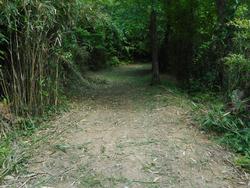 令和7年5月23日の通路整備作業の写真10