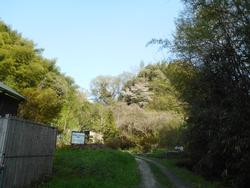 令和7年5月23日の通路整備作業の写真11