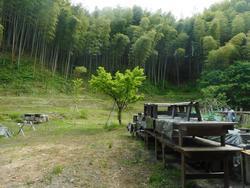 令和7年5月23日の通路整備作業の写真12