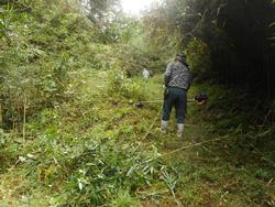 令和7年10月10日の通路整備作業の写真4