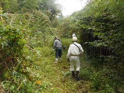 令和7年10月10日の通路整備作業の写真5