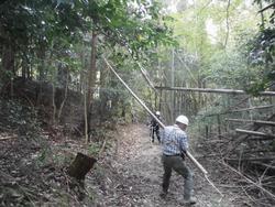 令和7年10月10日の通路整備作業の写真6