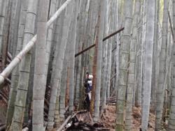 令和7年10月10日の通路整備作業の写真7