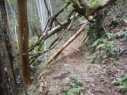 令和7年10月10日の通路整備作業の写真9