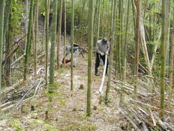 令和7年10月10日の通路整備作業の写真10