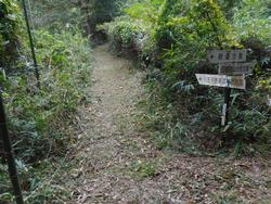 令和7年10月10日の通路整備作業の写真12