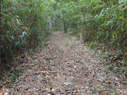 令和7年10月10日の通路整備作業の写真13