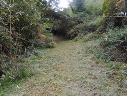 令和7年10月10日の通路整備作業の写真14