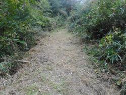 令和7年10月10日の通路整備作業の写真15