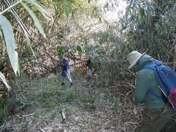 平成28年2月16日の通路整備作業の写真2