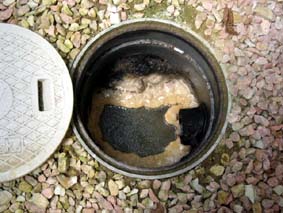 掃除前の蓋を開けた分離桝の写真