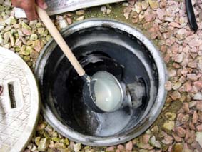 食器用洗剤等をかけている様子