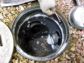 ブラシで汚れを落としている様子