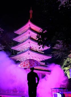 ライトアップの様子