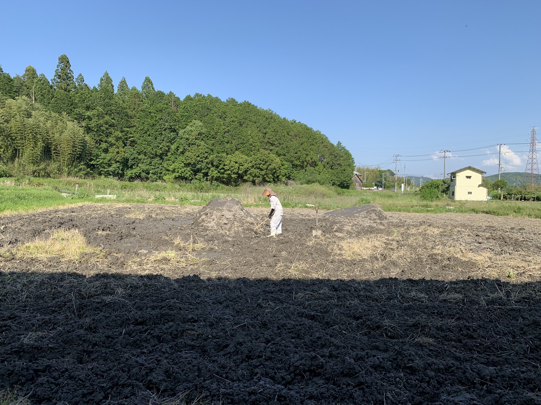 土を掘り起こしている様子