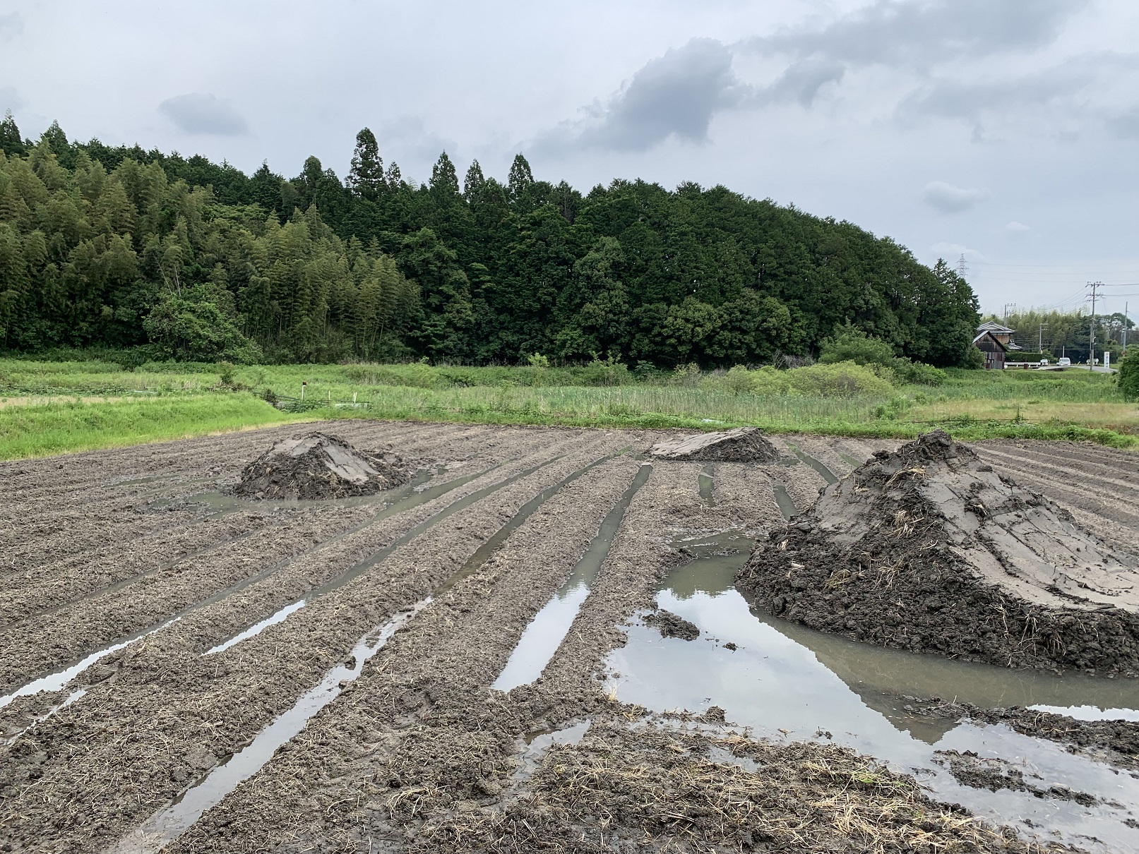 田んぼに水が追加された様子