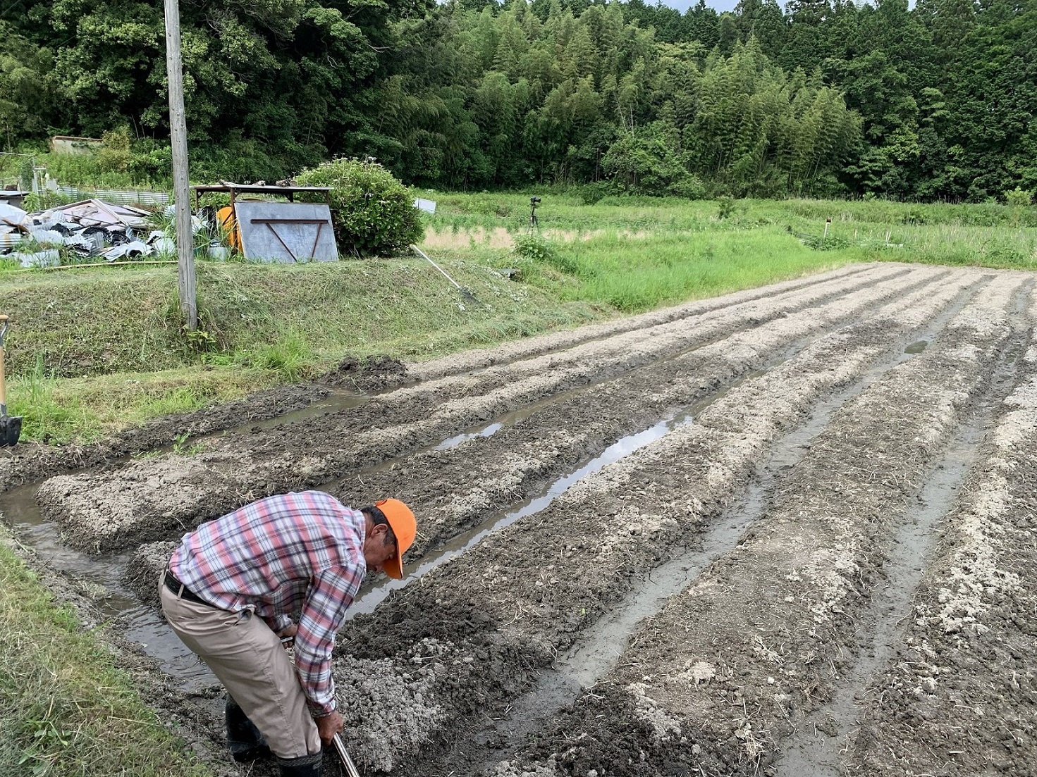 お手伝いしてくださったおっちゃんの写真