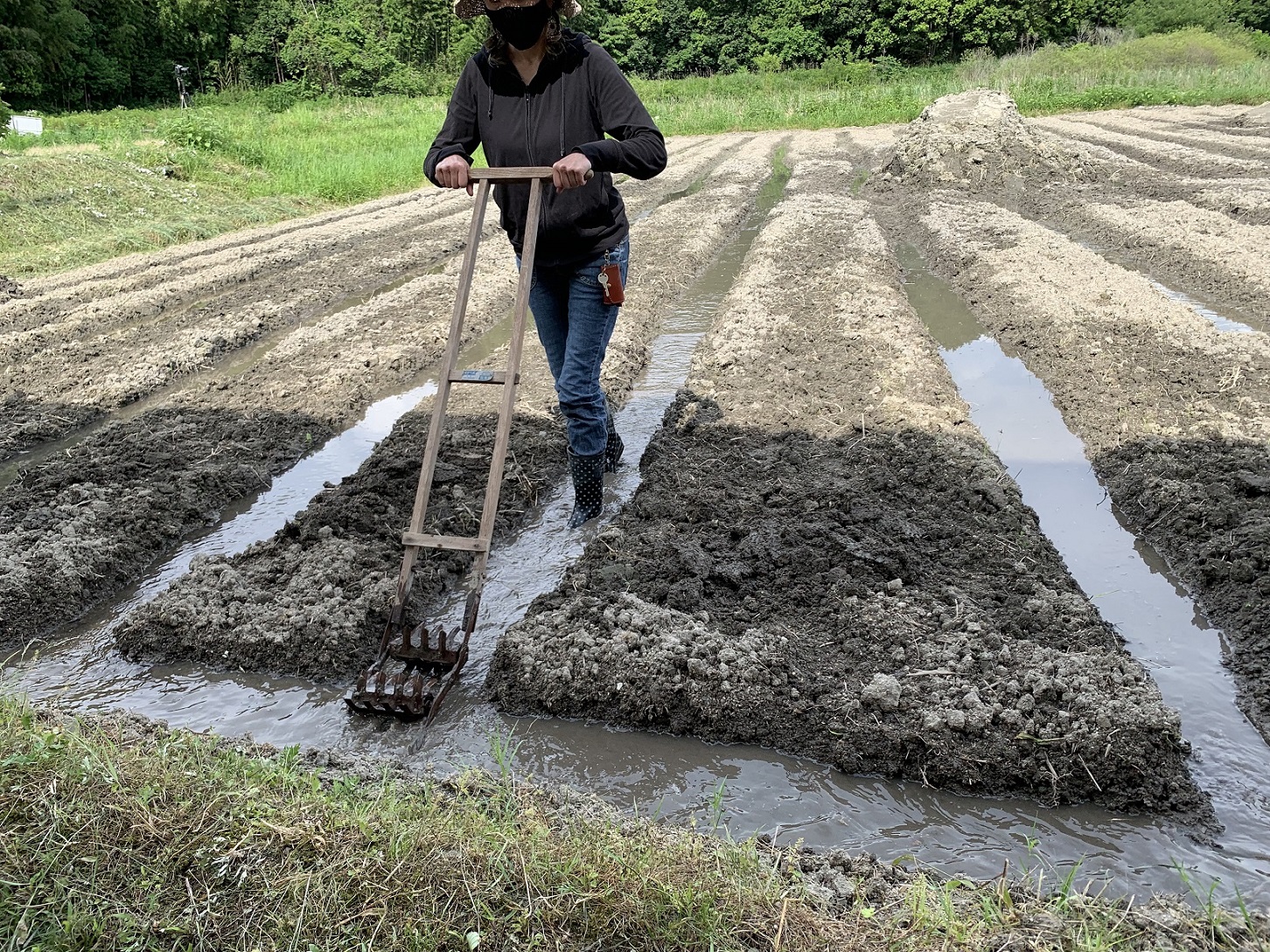 お借りした古い農機具の写真