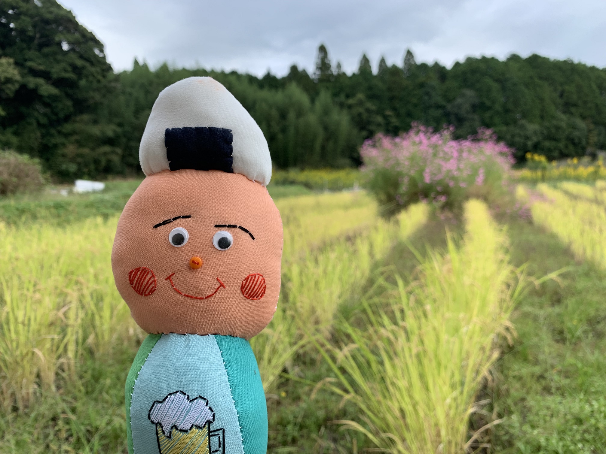 稲刈り前の成長した稲とコスモスとぷくの写真