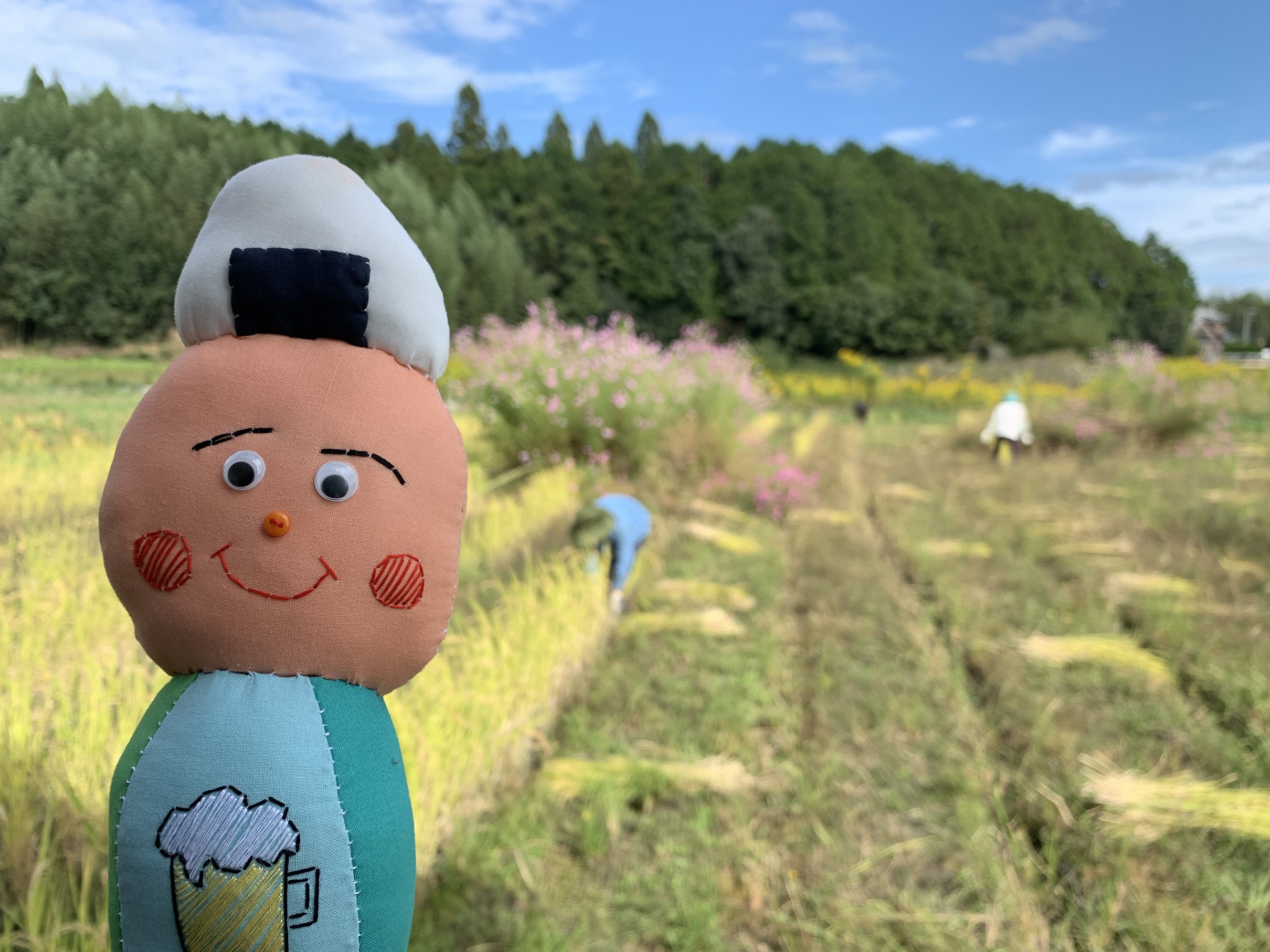 稲刈りの様子とぷくの写真