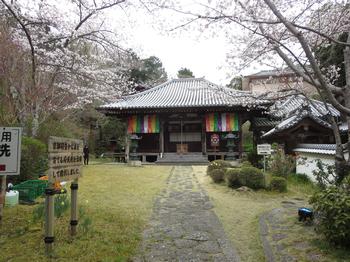 神童寺の桜の写真1