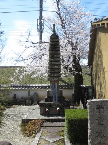 十三重石塔と桜