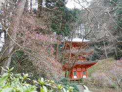 岩船寺と花の写真1