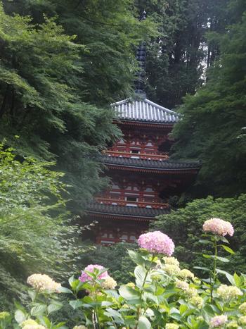 岩船寺とアジサイの写真