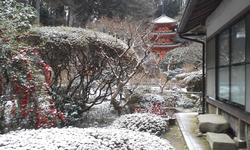 平成26年2月6日現在の岩船寺の雪景色の写真2