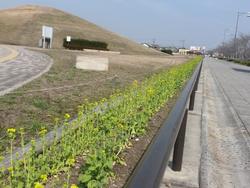 平成26年3月24日現在の州見台公園の写真2