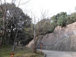 平成26年3月24日現在の海住山寺の写真1