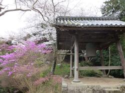 平成26年4月3日現在の神童寺の写真2