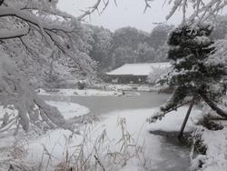 平成26年2月14日現在の浄瑠璃寺の雪景色の写真1